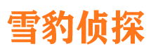 四川外遇出轨调查取证